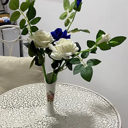 Petit مارزاميمي